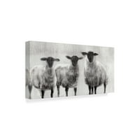 Zaštitni znak likovna umjetnost 'Rustikalna ovca i' platna umjetnost Ethana Harpera