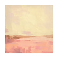 Jacob Green 'Salt Lake Sunrise II' platno umjetnost