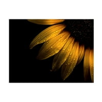 Brian Carson 'dvorišni cvjetovi suncokret' platno umjetnost