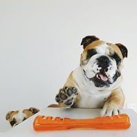 ; Izdržljiva igračka za žvakanje za pse, narančasta, velika