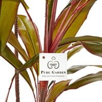 Umjetna kordilina – visoka sobna biljka prirodnog izgleda-velika i realna 59